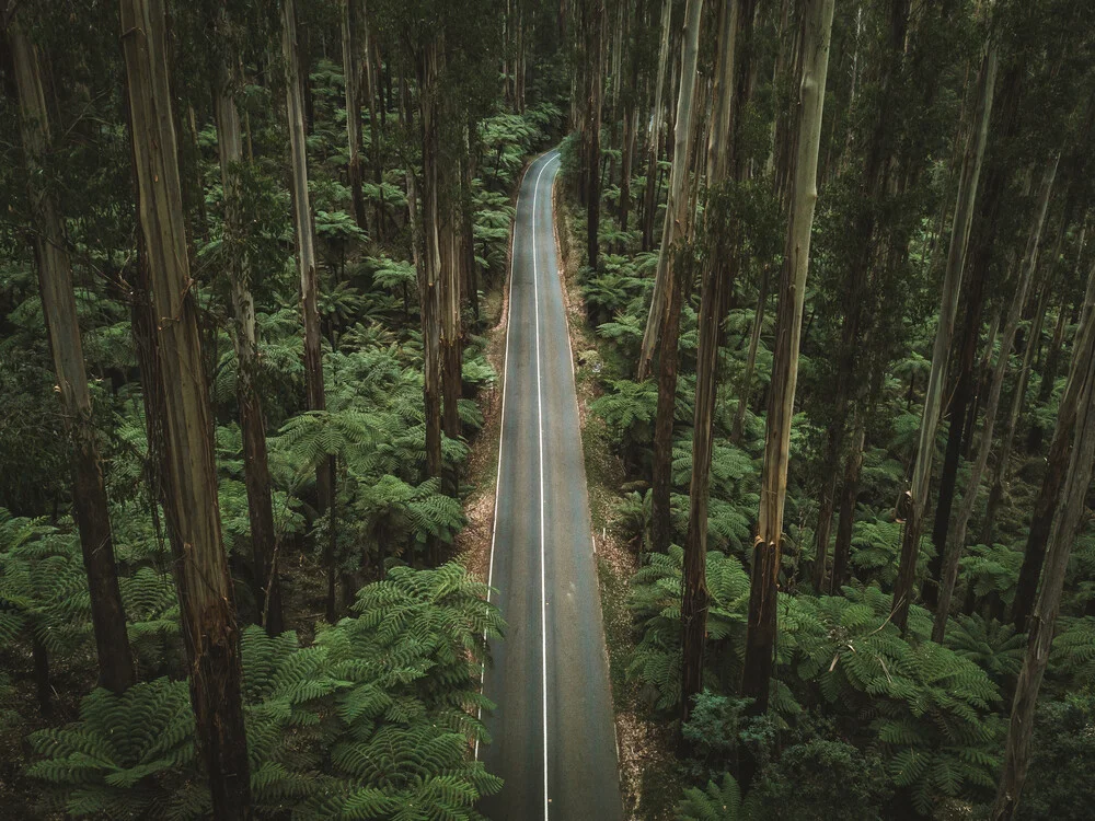 Perfect Road - Fotografia Fineart di Fin Matson