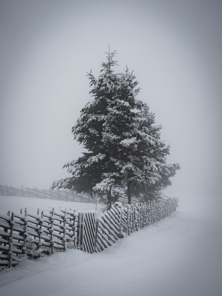 atmosfera invernale - Fotografia Fineart di Bernd Grosseck