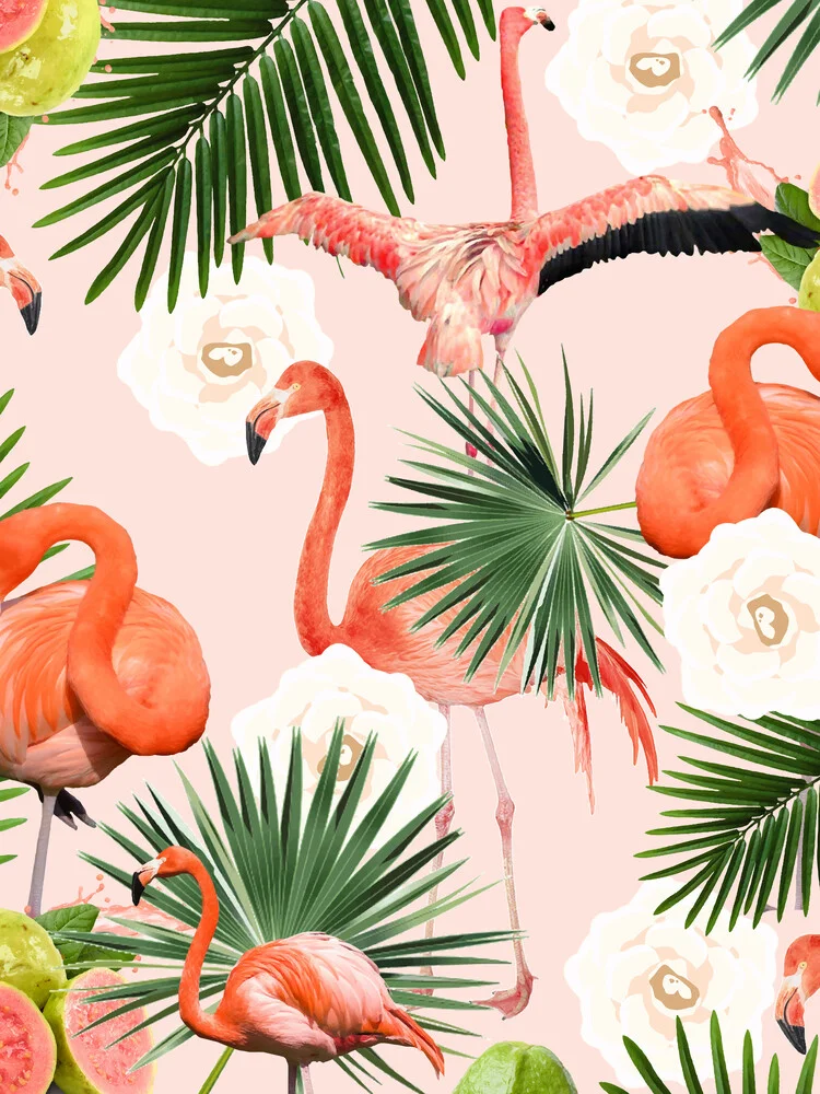 Flamingo Guava - Fotografia Fineart di Uma Gokhale