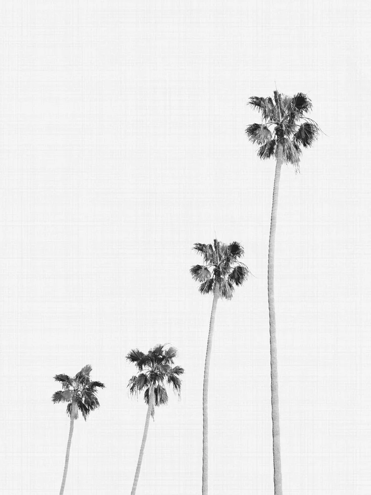 Palm 1 - Fotografia Fineart di Vivid Atelier