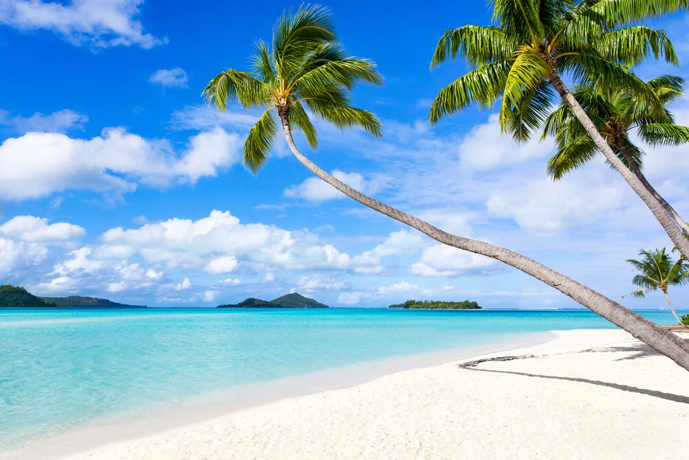 Palmenstrand auf Bora Bora in Französisch Polynesien - fotokunst von Jan Becke