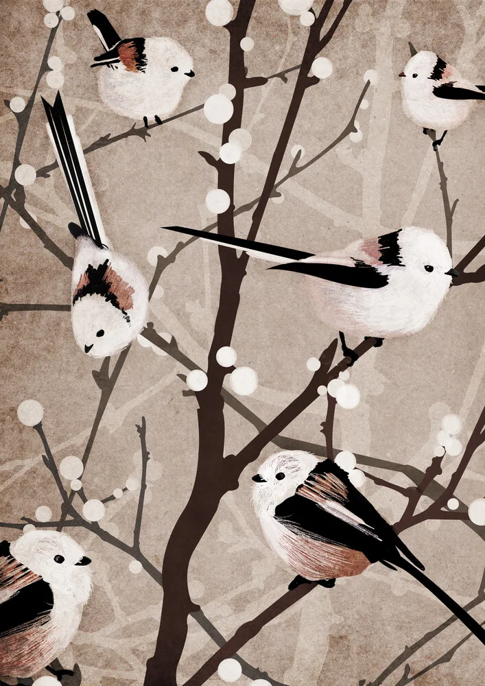 Uccelli dalla coda lunga - Fotografia artistica di Katherine Blower