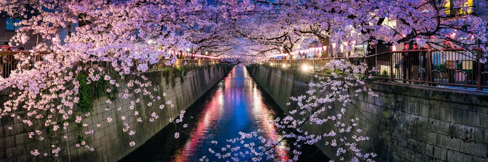 Nakameguro festival dei fiori di ciliegio a Tokyo - Fotografia Fineart di Jan Becke