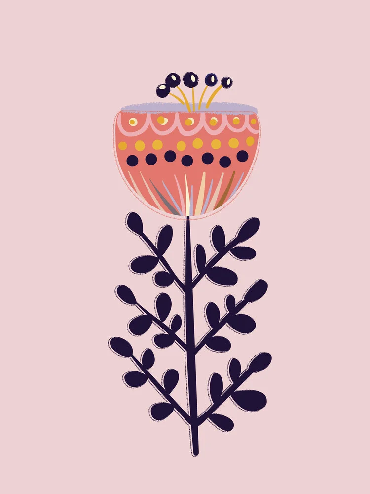 fiore singolo su sfondo rosa - Fotografia Fineart di Ania Więcław