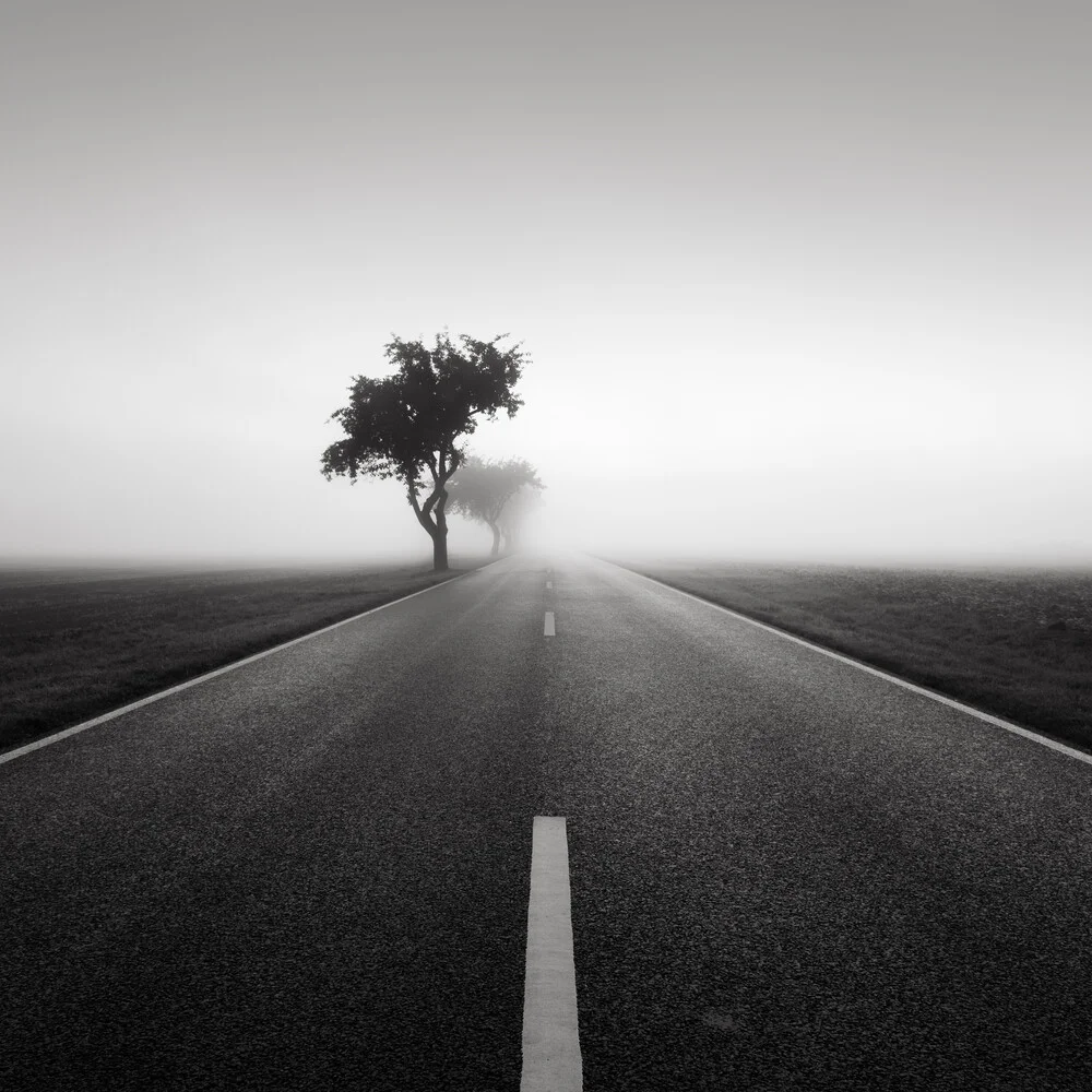 Road to nowhere 2 - Fotografia Fineart di Thomas Wegner