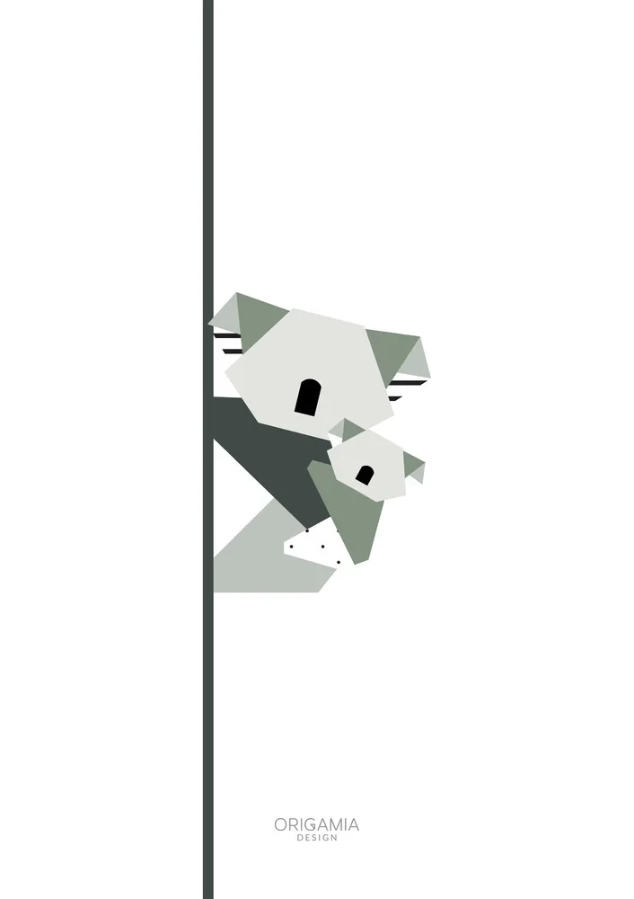 Koala | Serie australiana | Origamia Design - Fotografia Fineart di Anna Maria Laddomada