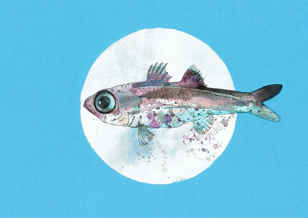 Pesce - Fotografia Fineart di Sabine Israel