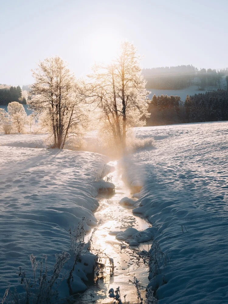 Flusso invernale - fotokunst von André Alexander
