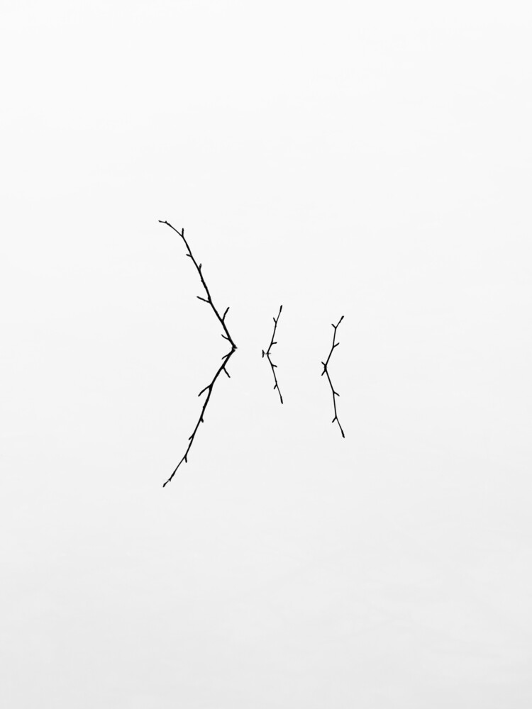 tre ramoscelli - Fotografia Fineart di Holger Nimtz