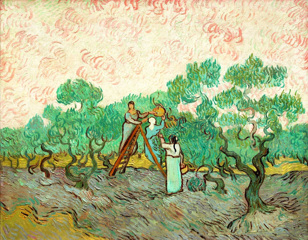 Donne che raccolgono le olive di Vincent van Gogh - Fotografia d'arte di Art Classics