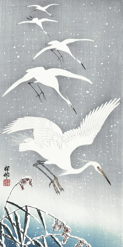 Garzette discendenti nella neve - Fotografia Fineart di Japanese Vintage Art