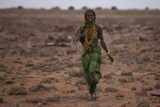 Walter Luttenberger, der laufsteg (Kenya, Africa)