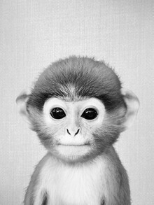 Gal Pittel, Baby Monkey - Bianco e nero (Israele, Asia)