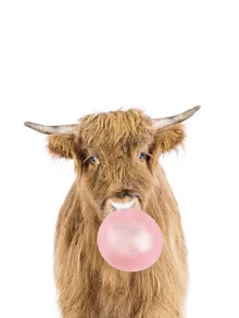Bubble Gum Cow - Fotografia Fineart di Kathrin Pienaar