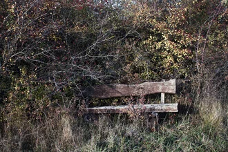 Una zona boschiva con una panchina ricoperta di rami - Fotografia Fineart di Manuela Deigert