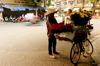 Marisa Pettit, fioraia ad Hanoi