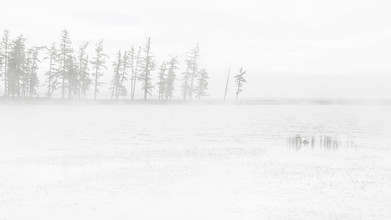 Schoo Flemming, conifere nella nebbia e nel lago (Mongolia, Asia)