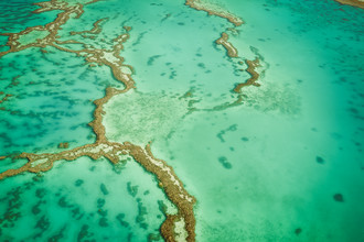 Martin Wasilewski, Grande Barriera Corallina (Australia, Oceania)