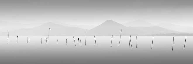 Ronny Behnert, Quattro uccelli - Lago Trasimeno Italien (Italia, Europa)