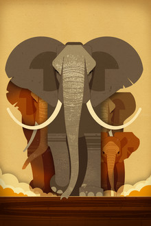 Dieter Braun, Elefanti