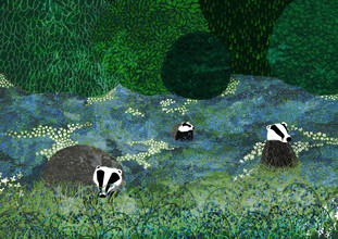 Katherine Blower, Badgers Among the Bluebells (Regno Unito, Europa)