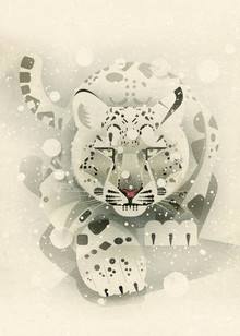 Dieter Braun, Il leopardo delle nevi