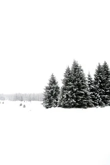 White White Winter 2/2 - Fotografia Fineart di Studio Na.hili