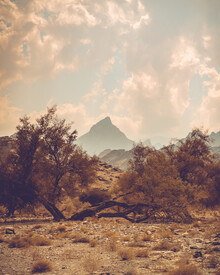 Franz Sussbauer, Picco di montagna in un paesaggio arido - Oman, Asia)