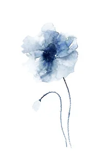 Blue Poppies No. 1 - Fotografia Fineart di Cristina Chivu