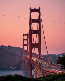 Dimitri Luft, Golden Gate Bridge - Stati Uniti, Nord America)
