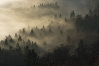 Thomas Staubli, nebbia mattutina - Svizzera, Europa)