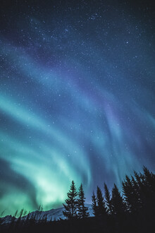 Sebastian Worm, Foresta dell'aurora boreale