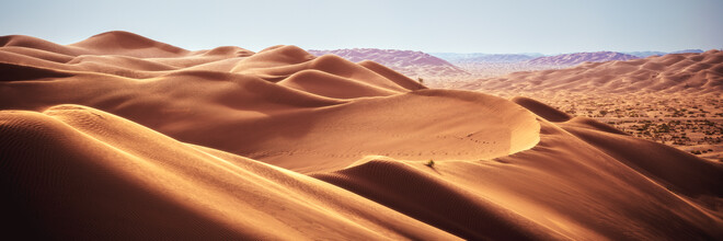 Jean Claude Castor, deserto di Rub Al Khali in Oman Panorama - Oman, Asia)