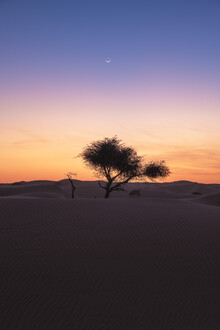 Jean Claude Castor, Monduntergang in der Wüste Omans - Oman, Asia)