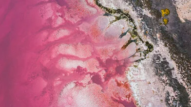 punto giallo sul lago salato rosa - Fotografia Fineart di Leander Nardin