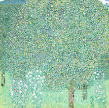 Art Classics, Gustav Klimt: Cespugli di rose sotto gli alberi (Germania, Europa)