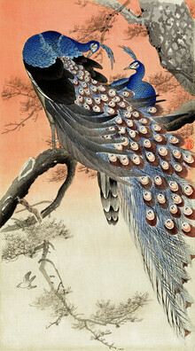 Arte vintage giapponese, due pavoni su un albero di Ohara Koson