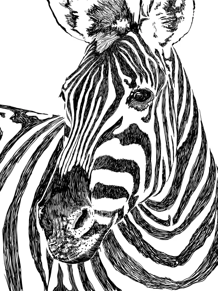 Zebra - Fineart fotografie door Uma Gokhale