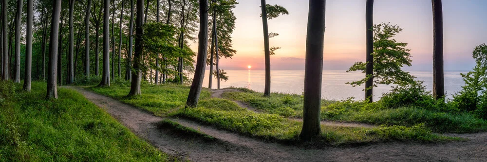 Nationalpark Jasmund op het Insel Rügen - fotokunst van Jan Becke