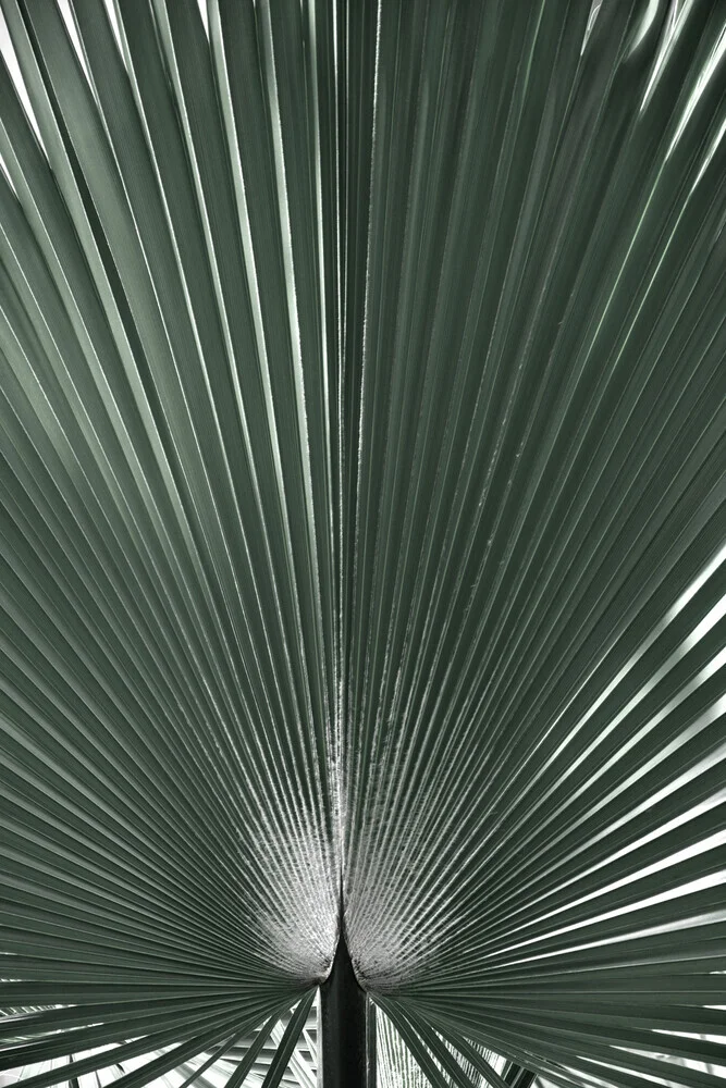 blauwgroen grafisch palmblad - Fineart fotografie door Studio Na.hili
