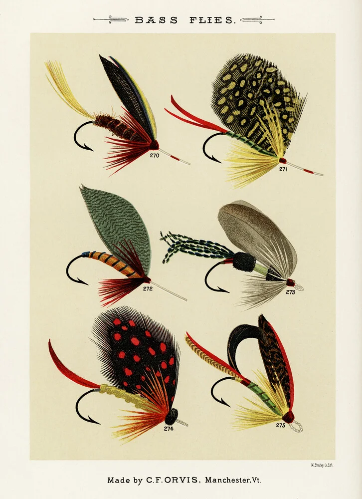 Mary Orvis Marbury: Bass Flies 2 - Fineart fotografie door Vintage Nature Graphics