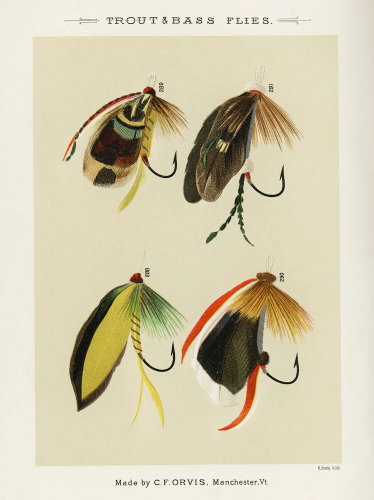 Mary Orvis Marbury: Trout & Bass Flies - Fineart fotografie door Vintage Nature Graphics