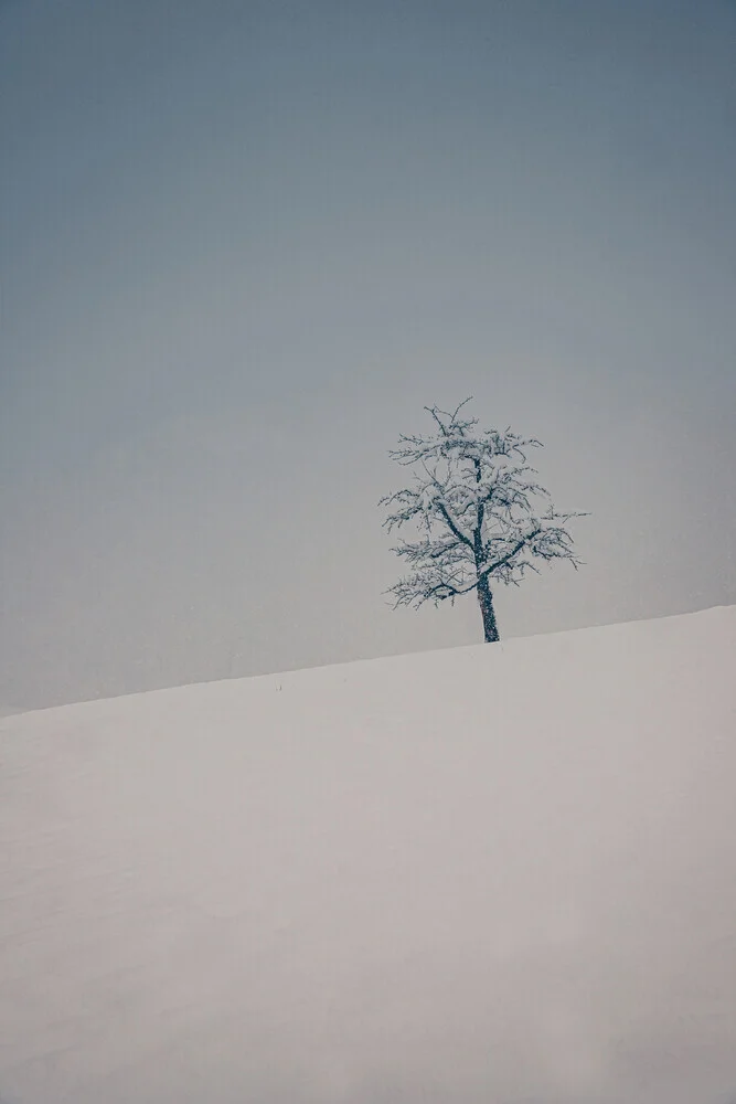 Boomgaard in de winter - Fineart-fotografie door Eva Stadler