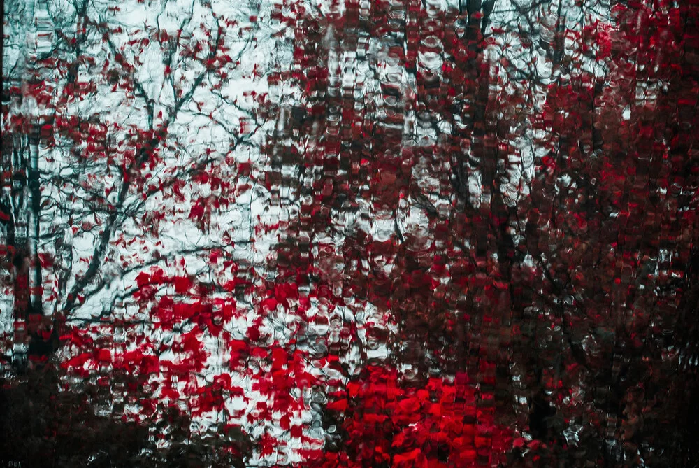 blutiger Herbst - Fineart fotografie door Sascha Hoffmann-Wacker