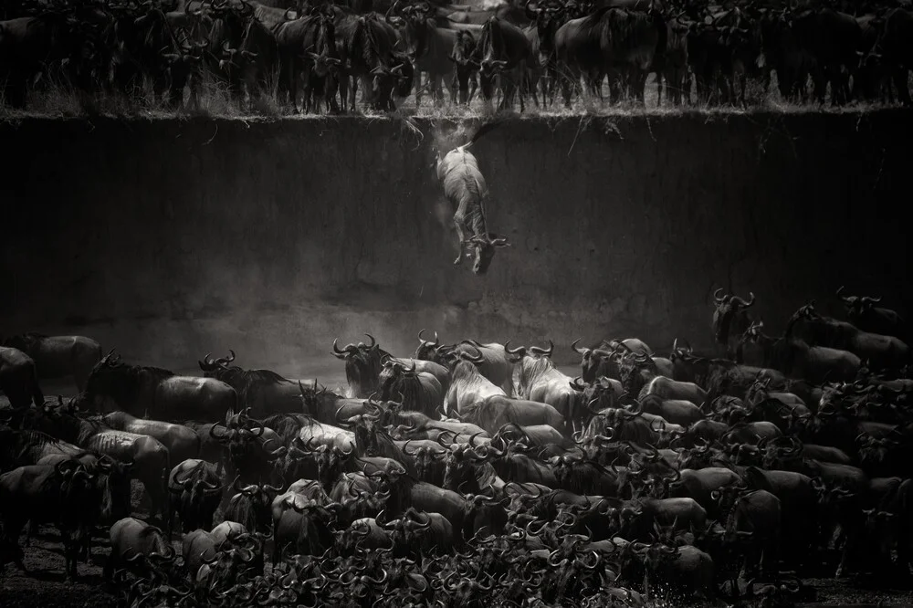 De grote migratie - fotokunst von Nicole Cambré
