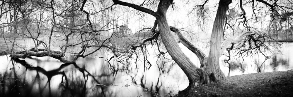 Bäume am See - fotokunst van Jan Benz