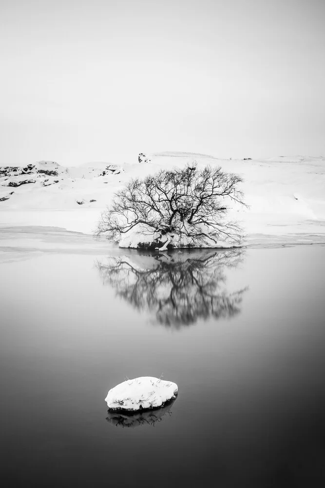 De eenzame boom - Fineart fotografie door Markus Van Hauten