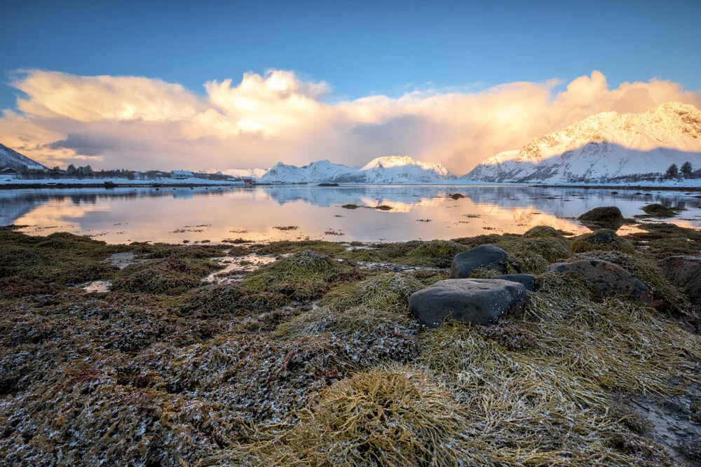 Fjord mit Spiegelung am frühen Morgen - Fineart fotografie door Michael Stein