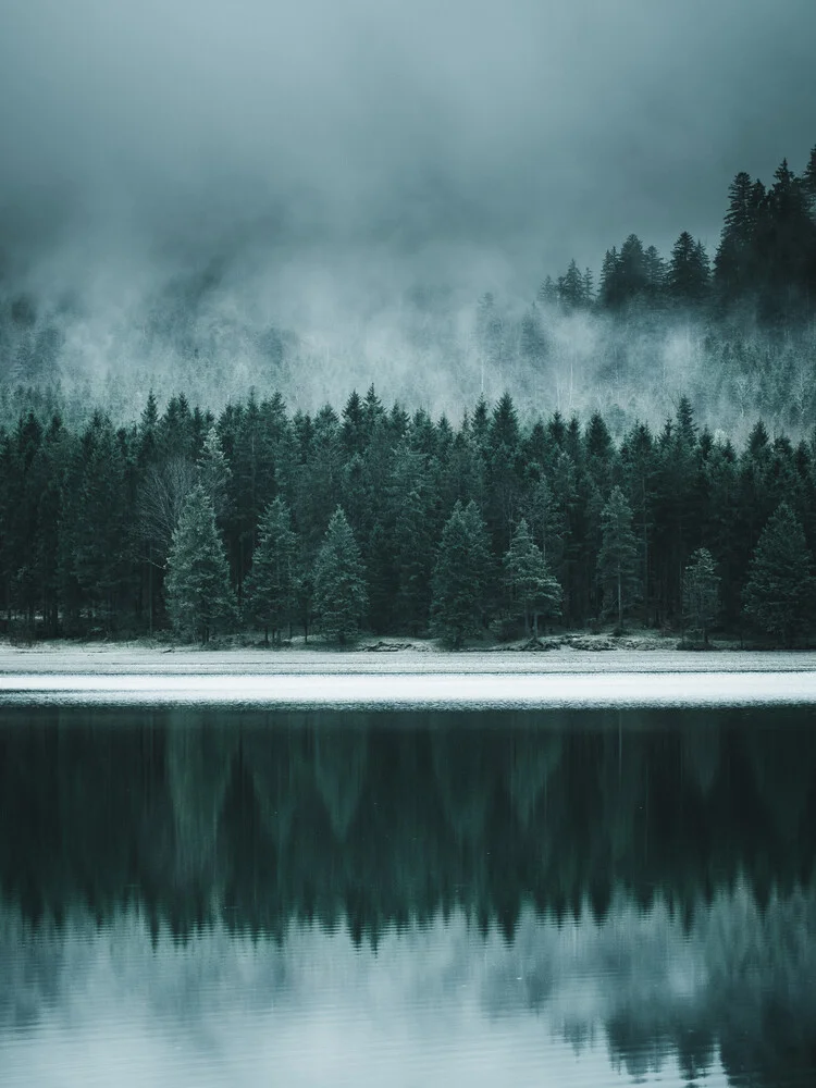 Forest Reflection - Fineart fotografie door Luca Jaenichen
