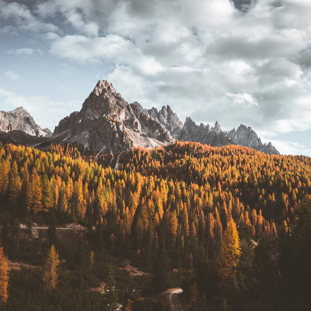 Italiaanse herfst - Fineart fotografie door Dorian Baumann